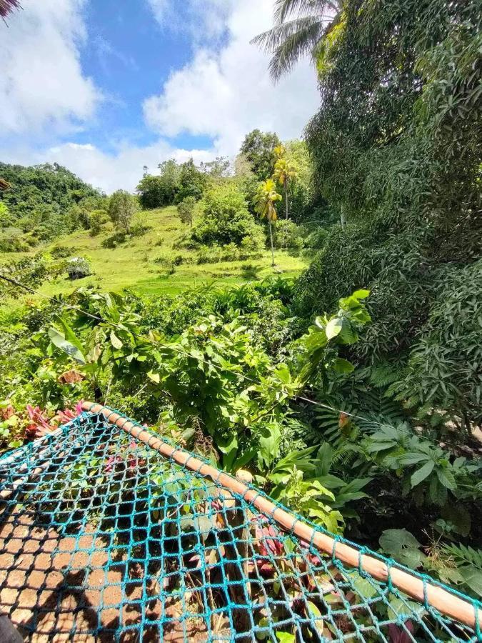 Canjahawon Nipa Hut Homestay Siquijor Dış mekan fotoğraf