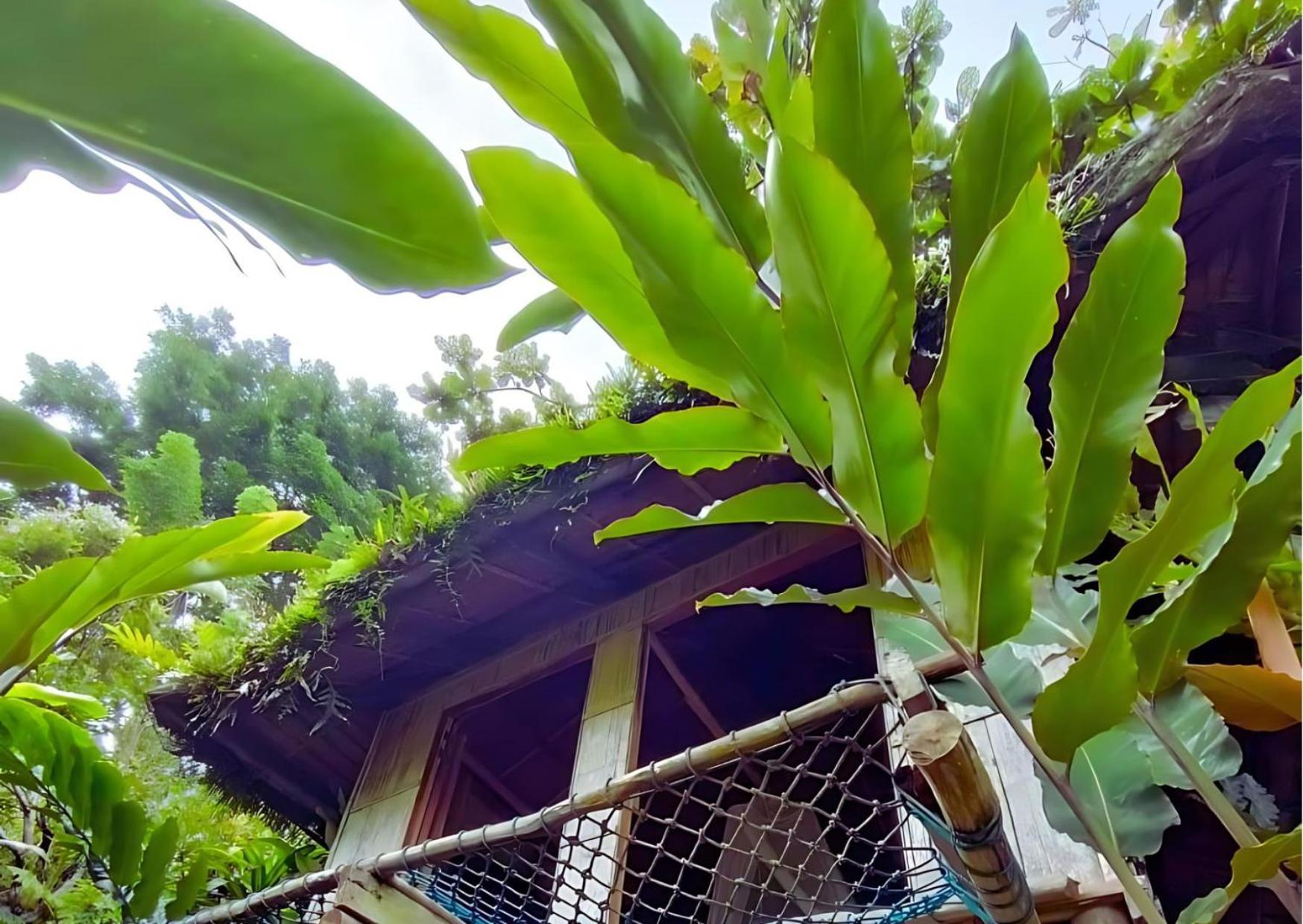 Canjahawon Nipa Hut Homestay Siquijor Dış mekan fotoğraf