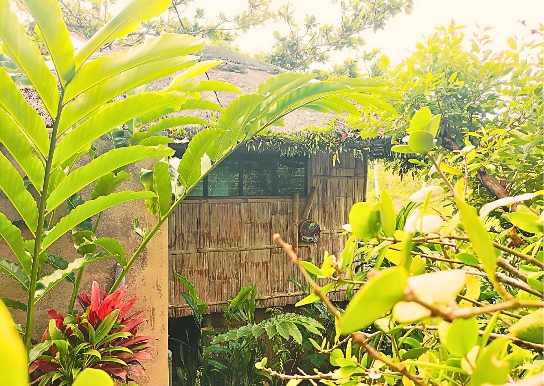 Canjahawon Nipa Hut Homestay Siquijor Dış mekan fotoğraf