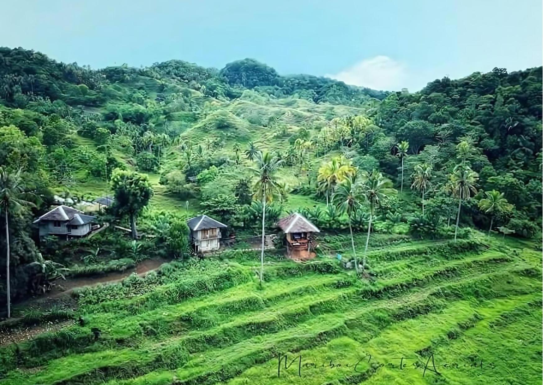 Canjahawon Nipa Hut Homestay Siquijor Dış mekan fotoğraf