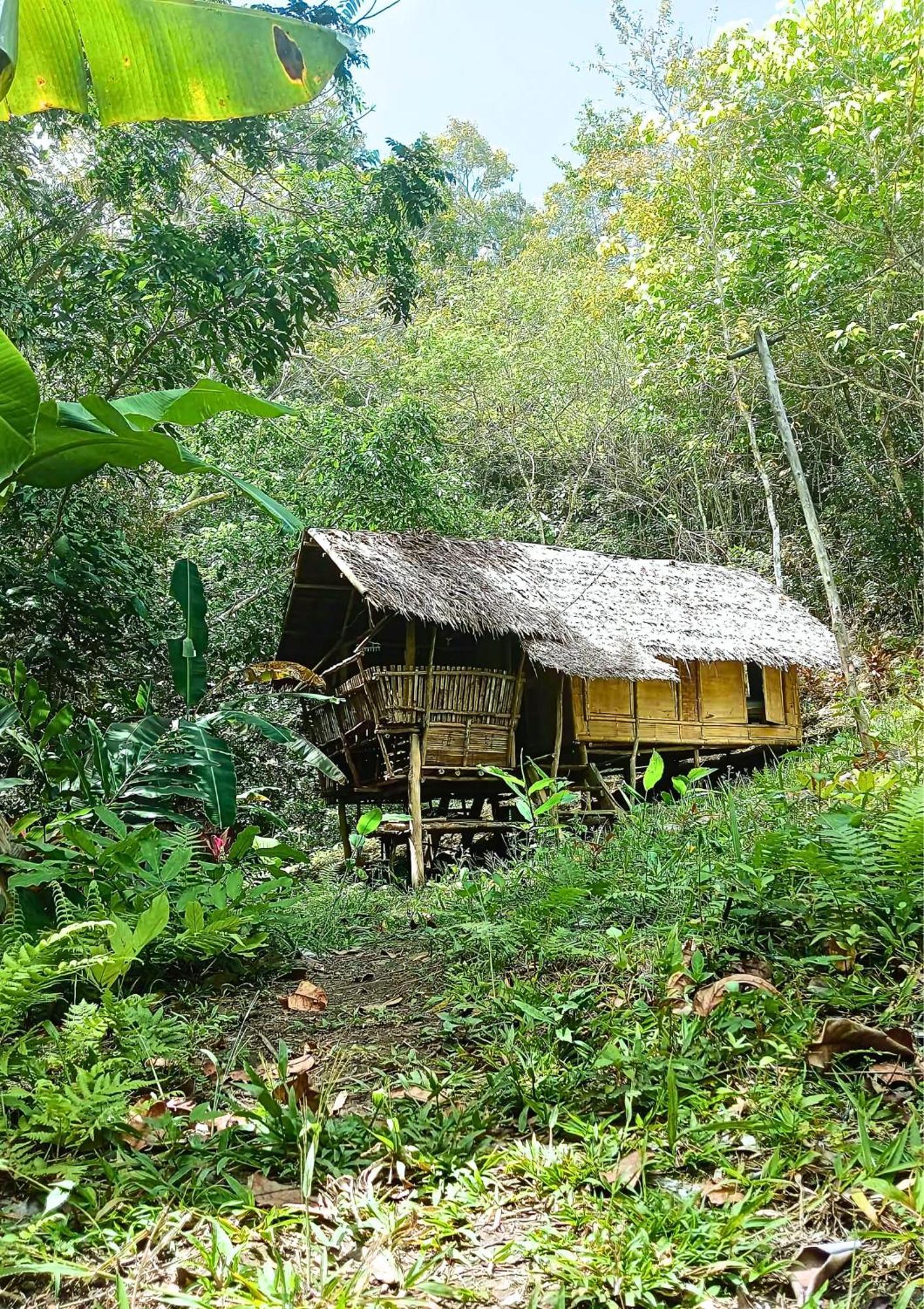 Canjahawon Nipa Hut Homestay Siquijor Dış mekan fotoğraf