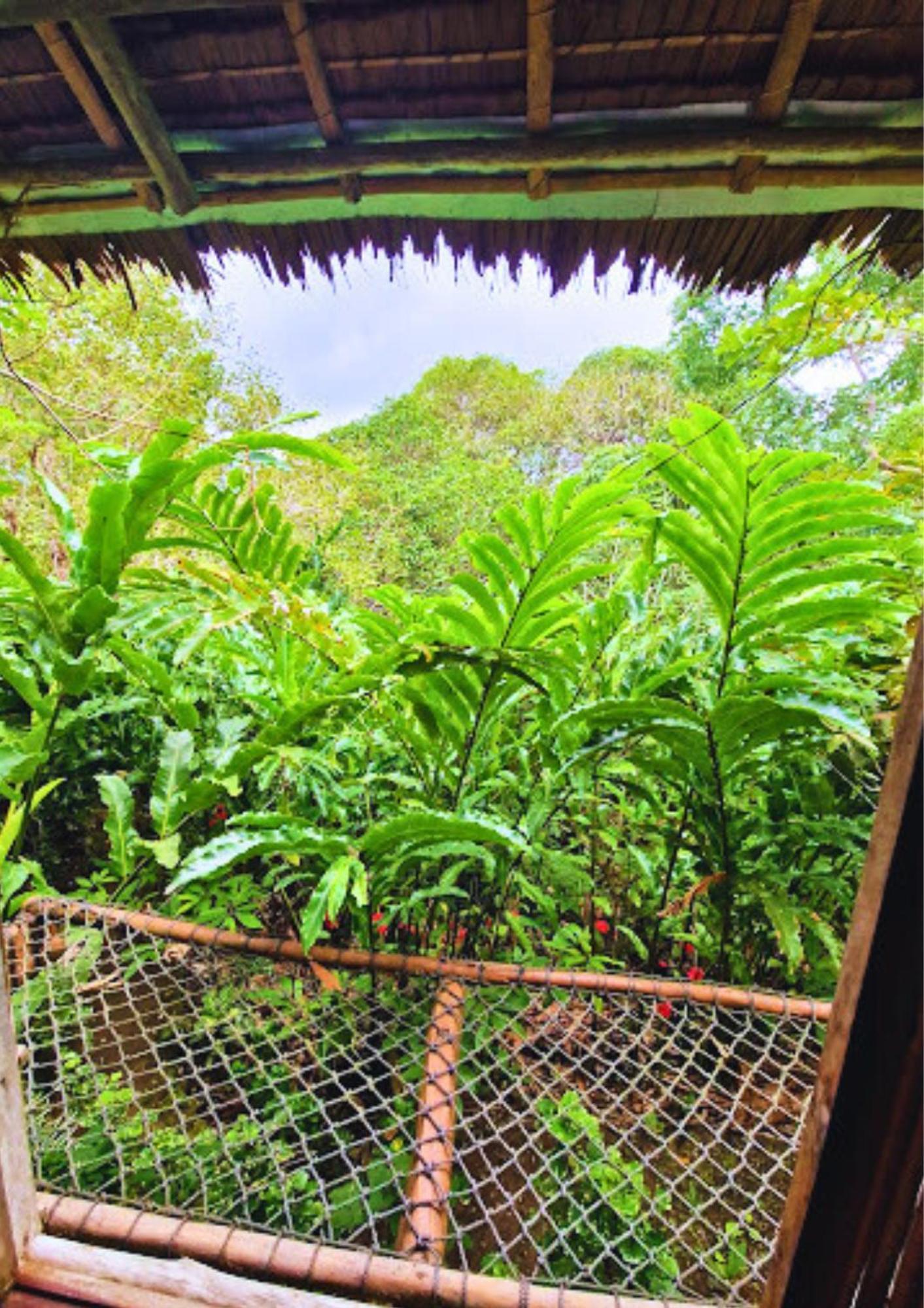 Canjahawon Nipa Hut Homestay Siquijor Dış mekan fotoğraf