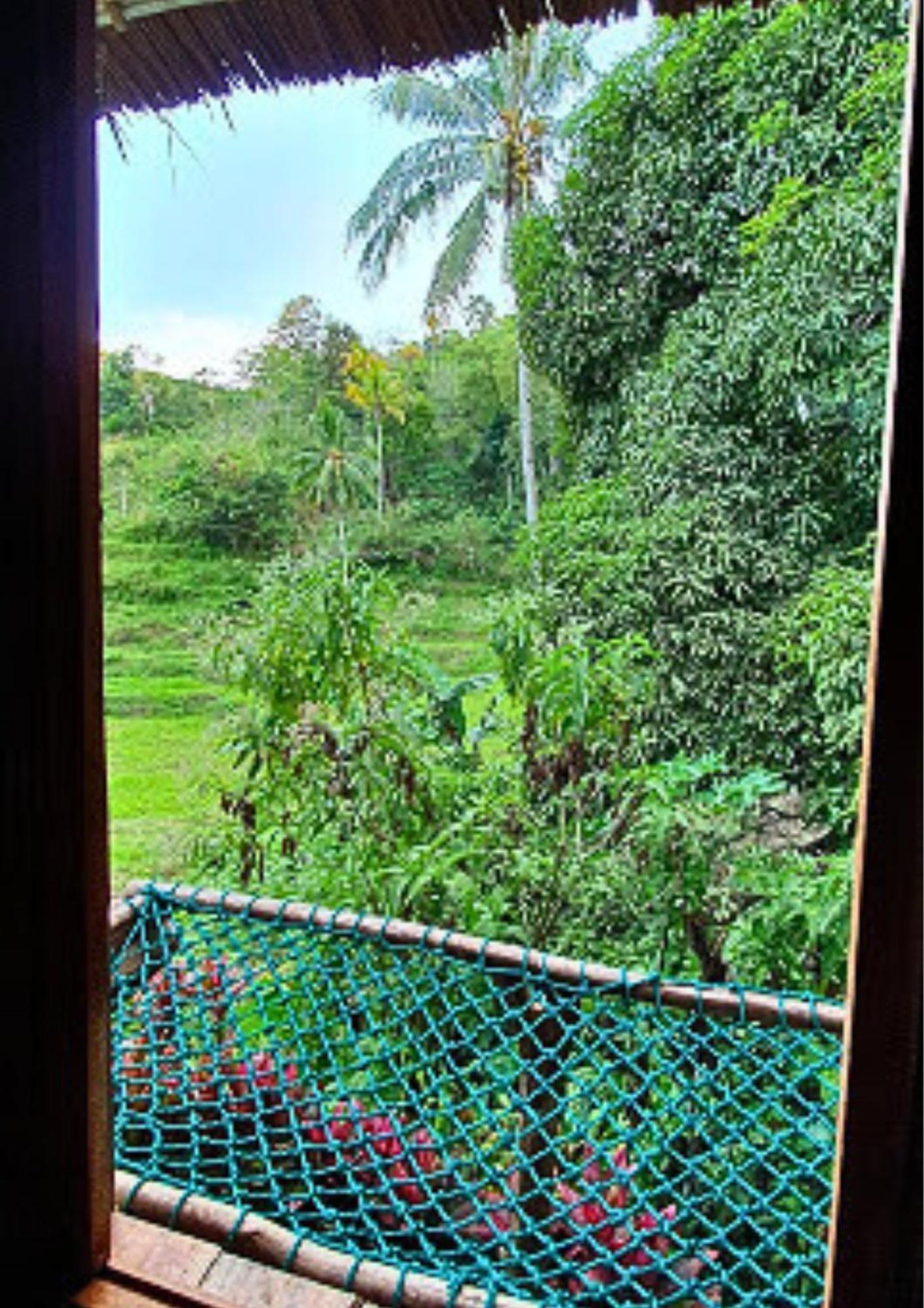 Canjahawon Nipa Hut Homestay Siquijor Dış mekan fotoğraf