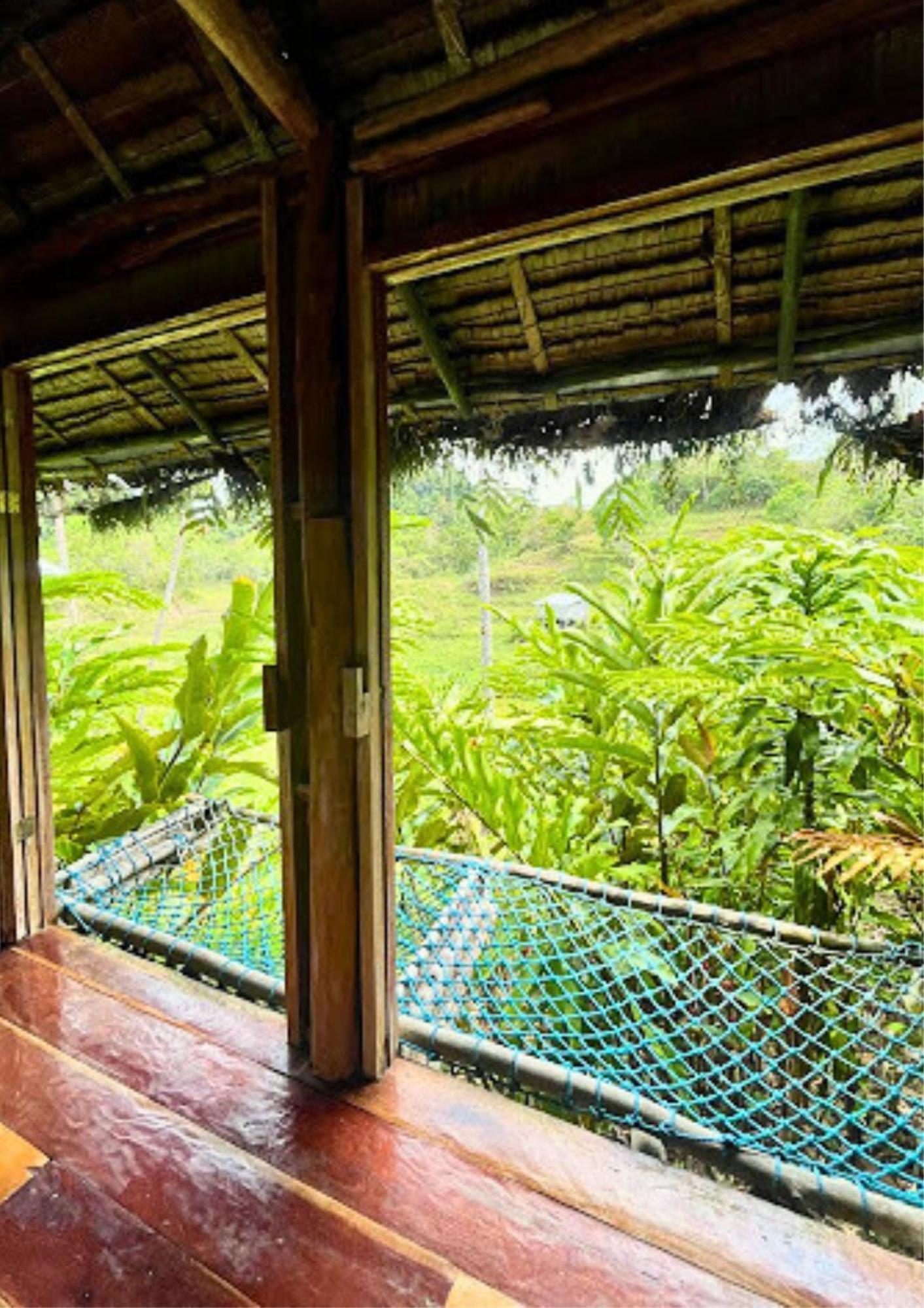 Canjahawon Nipa Hut Homestay Siquijor Dış mekan fotoğraf