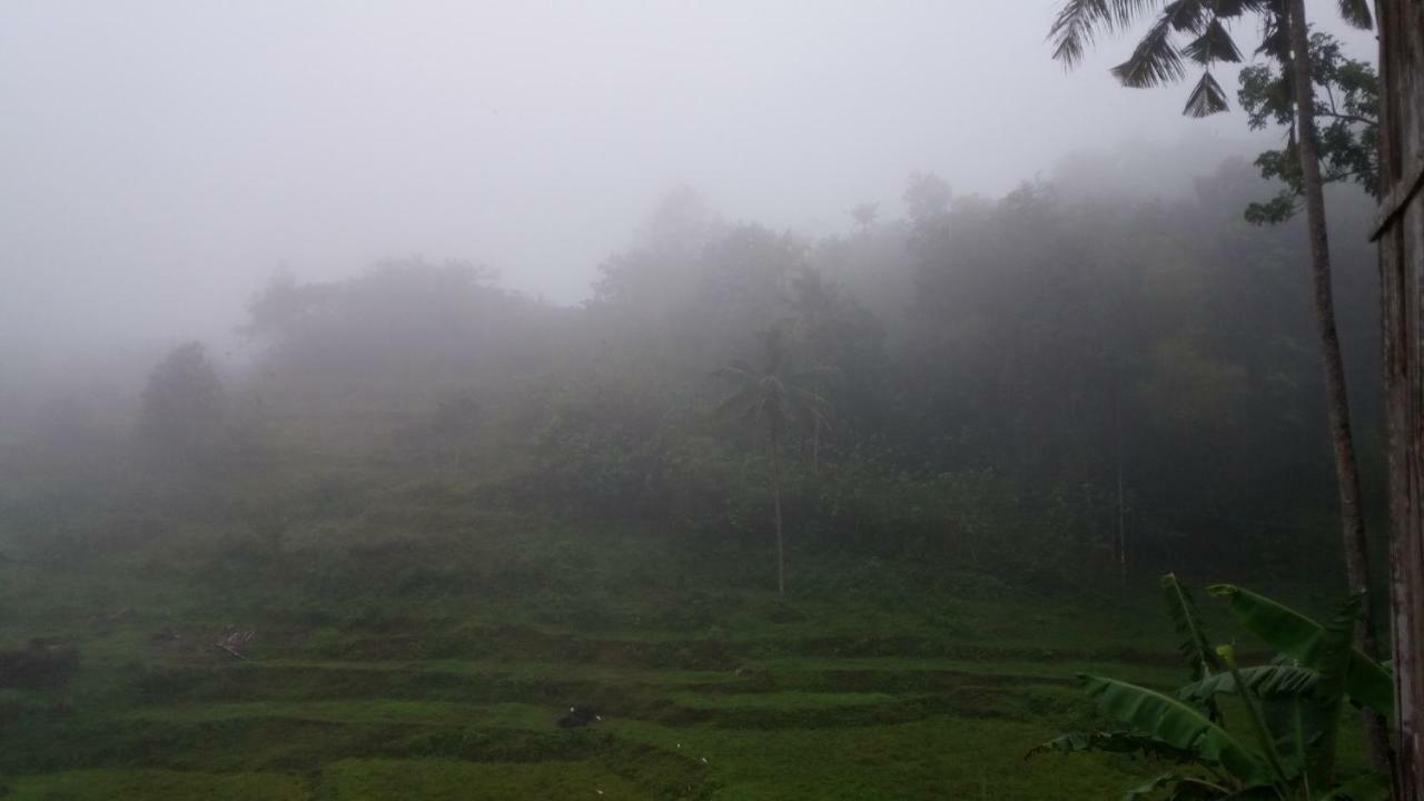 Canjahawon Nipa Hut Homestay Siquijor Dış mekan fotoğraf